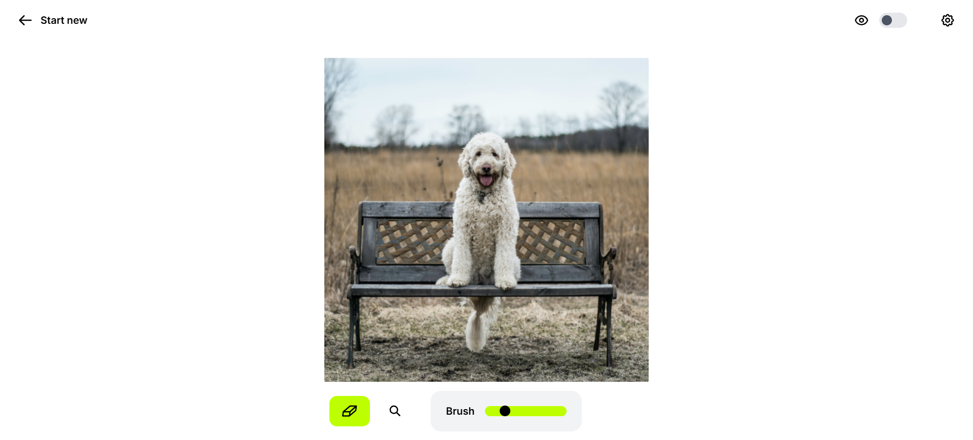 Cleanup.pictures editor showing the original photo with a dog on a bench before erase